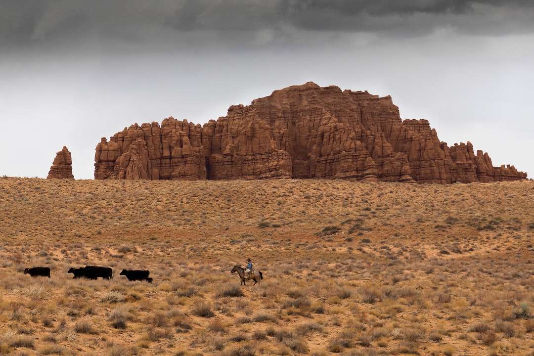 Personas en campo marrón cerca de la formación de roca marrón rompecabezas en línea