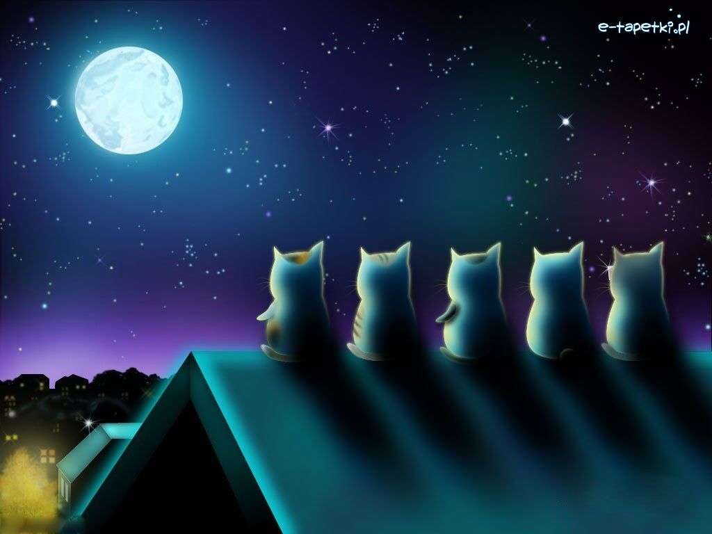 Fem katter ser på månen pussel på nätet