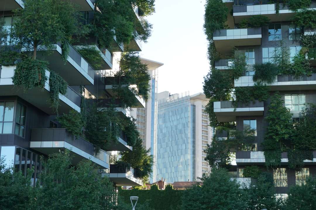 Groene bomen dichtbij het witte betonnen gebouw overdag legpuzzel online
