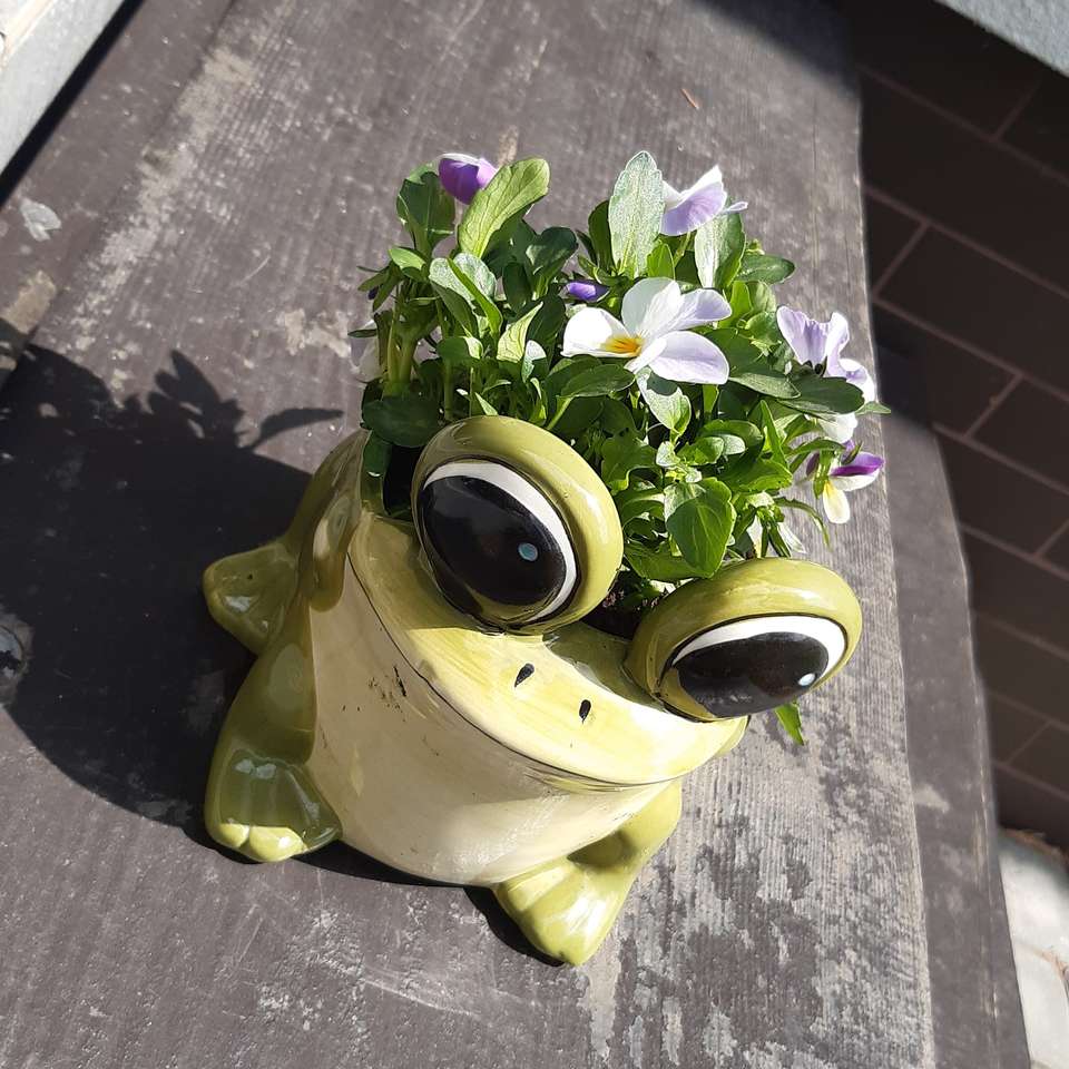 Royal Frog με Violets παζλ online