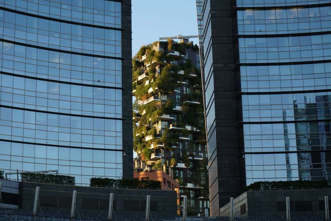 albero verde davanti all'edificio durante il giorno puzzle online