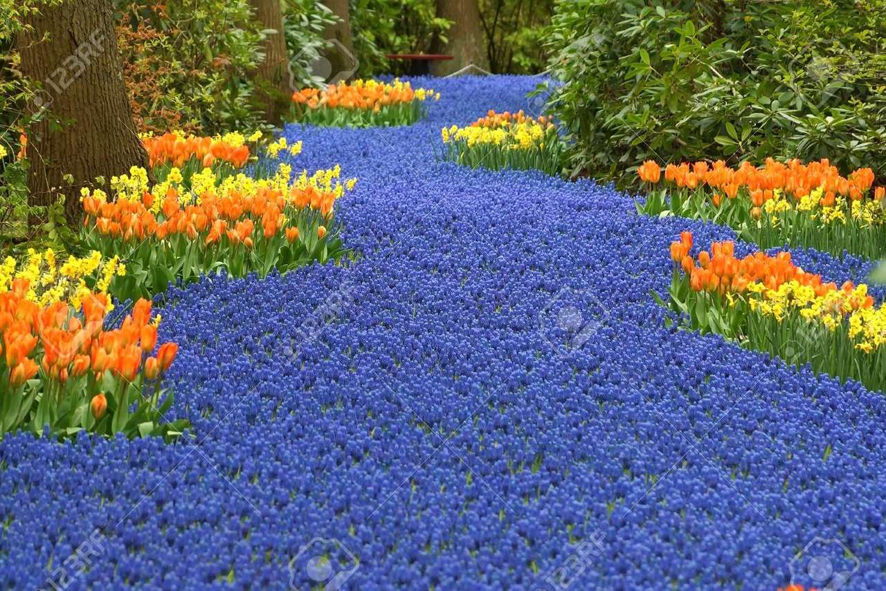Jardim de flores puzzle online