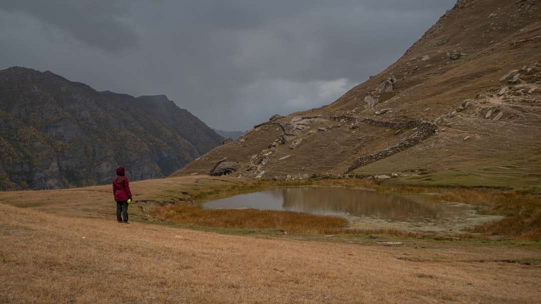 Persona en chaqueta roja caminando en camino de tierra marrón rompecabezas en línea