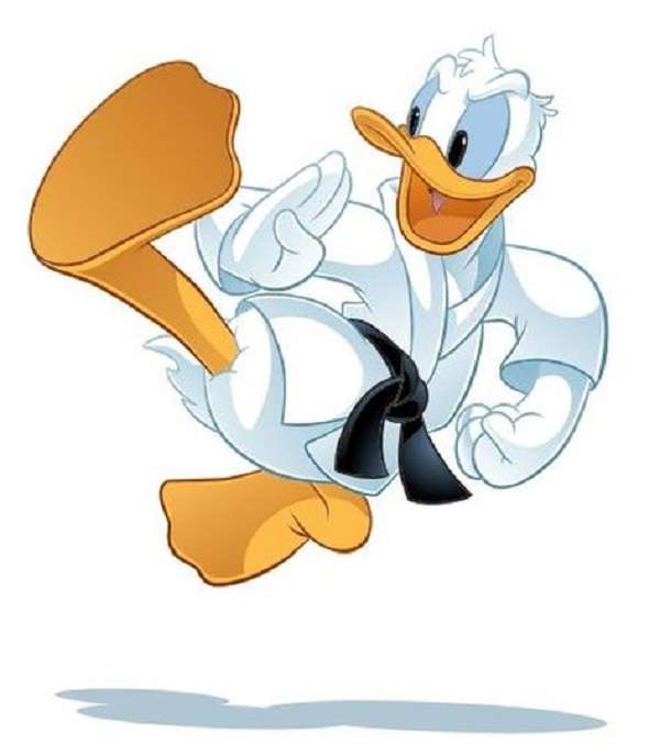 Taekwondo Donald. Puzzlespiel online