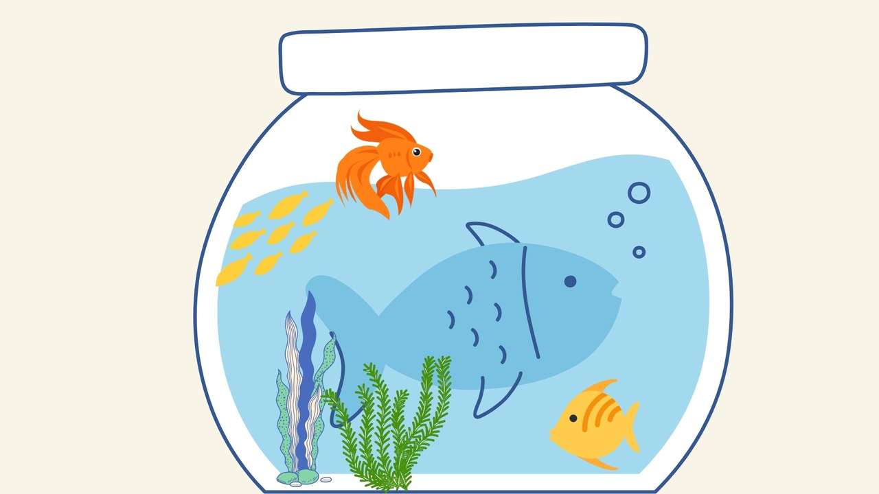 Skapa ett akvarium för fisk pussel på nätet