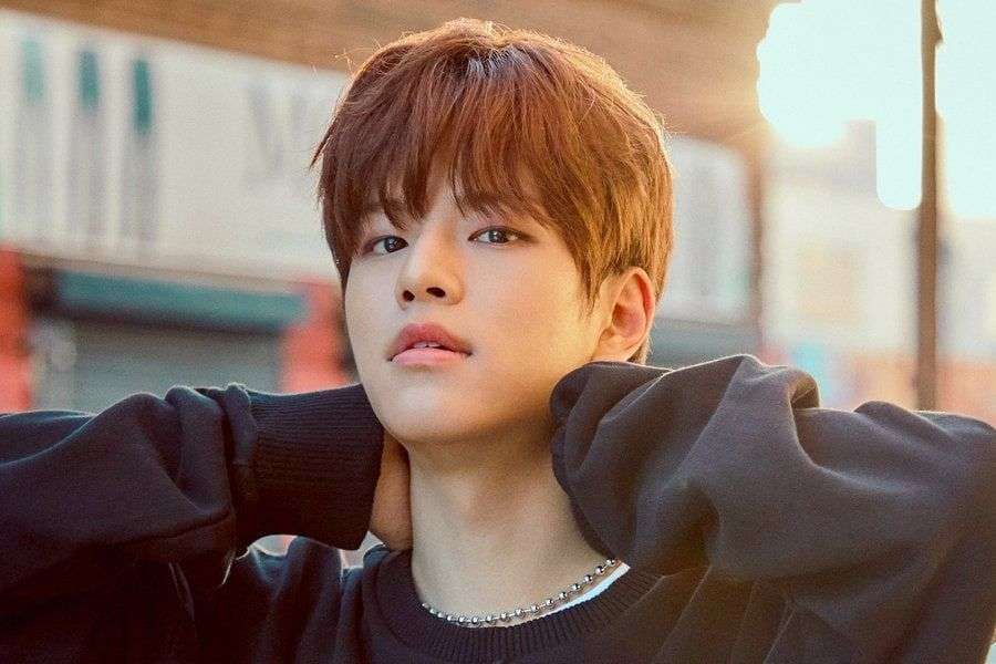 Seungmin Puzzle Stray Kids online puzzle