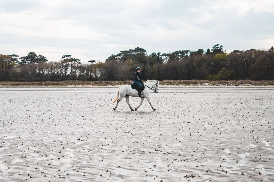 Mann im weißen Hemd, das weißes Pferd auf weißem Sand reitet Online-Puzzle