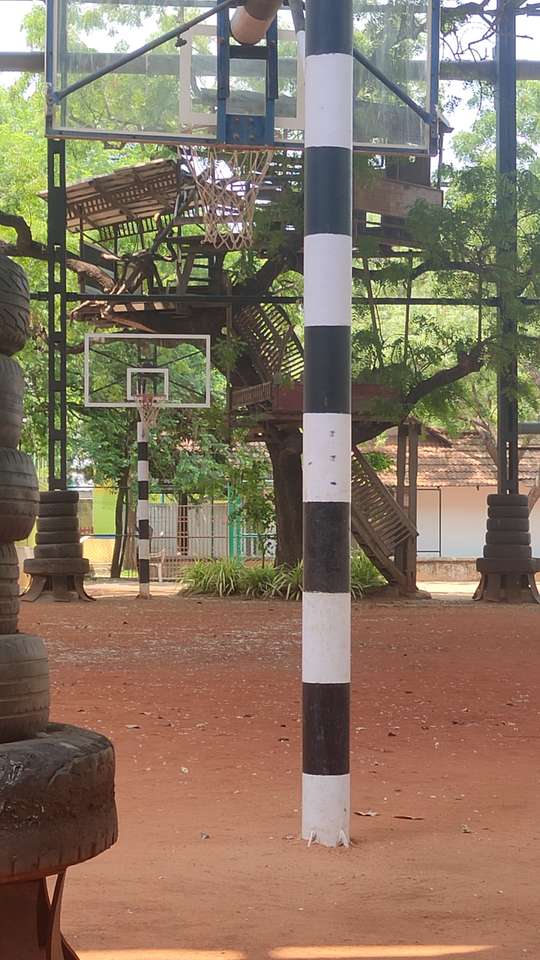 Natuurlijke treehouse met basketbalgrond legpuzzel online