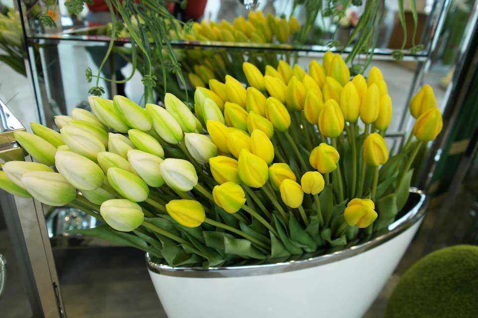 Sárga-fehér tulipánok online puzzle