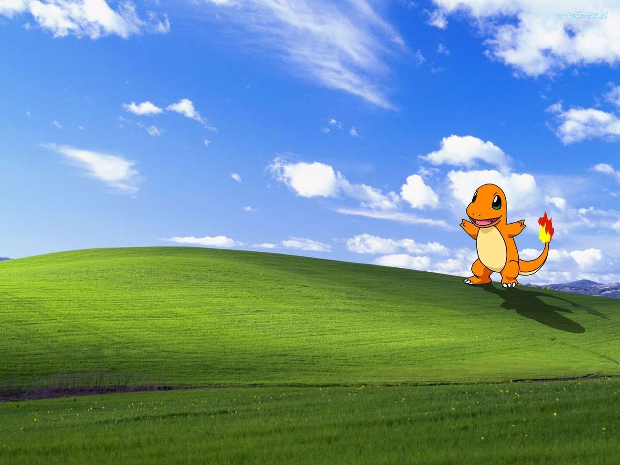 Windows XP, Pokemon puzzle online