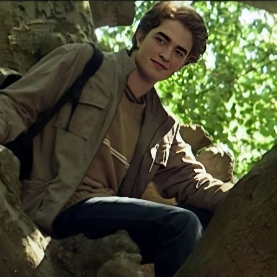 Cedric Diggory. online puzzle