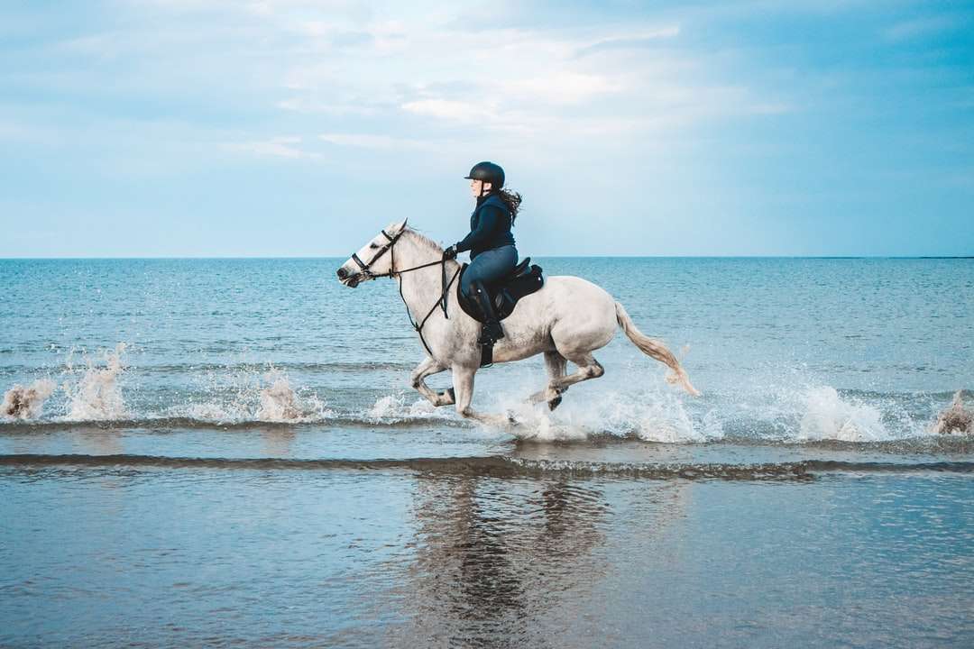 Hombre en chaqueta negra montando caballo blanco sobre el agua rompecabezas en línea
