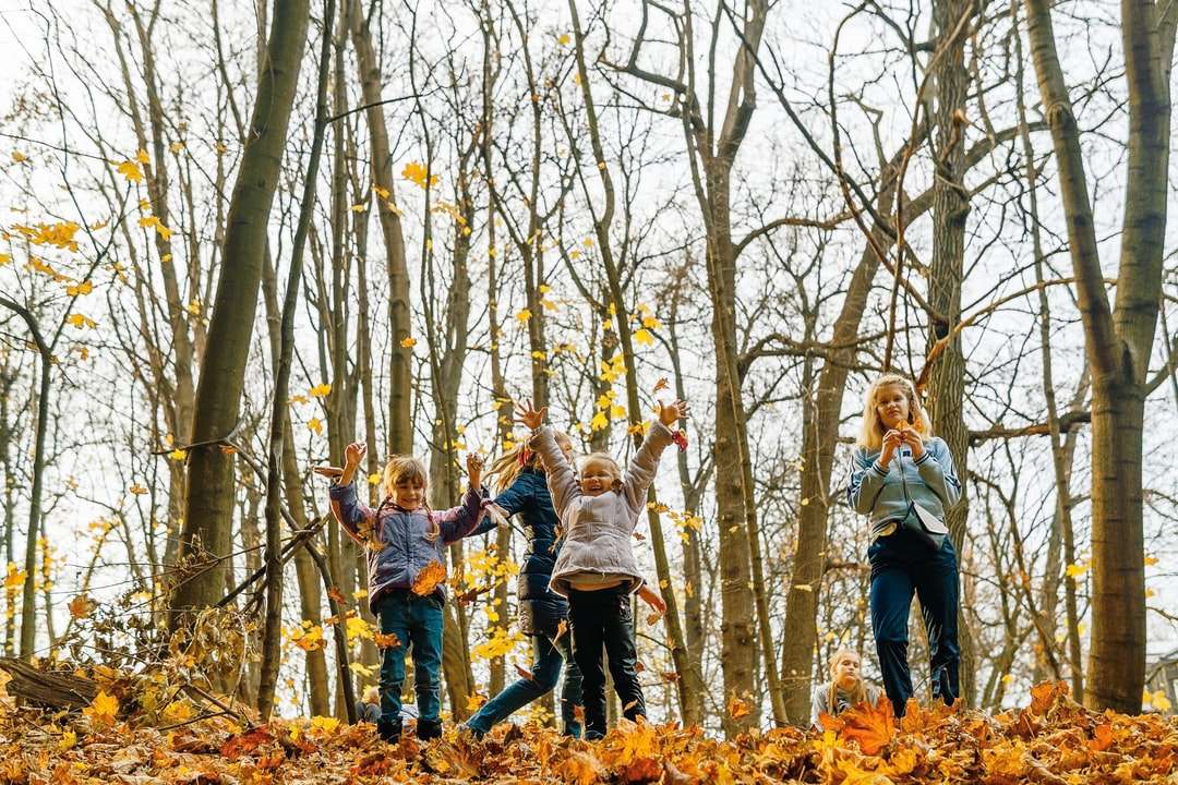 personnes debout sur un tronc d'arbre brun pendant la journée puzzle en ligne