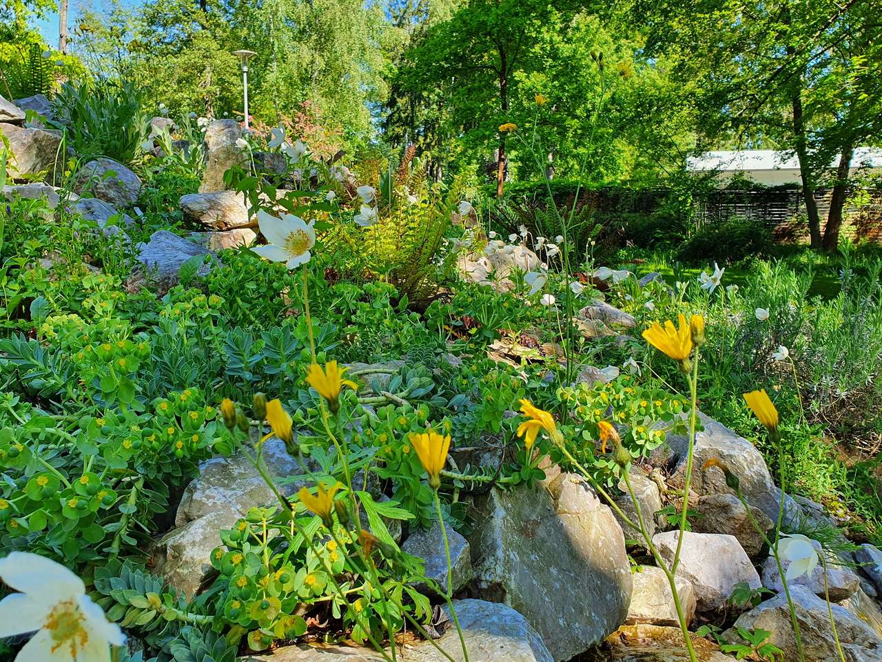 Botanische tuin ZG / Botanischer Garten ZG_PUZUZUZE 2 online puzzel