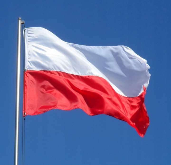 Polská vlajka online puzzle