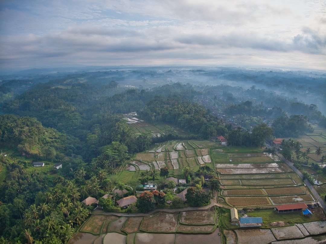 Αεροφωτογραφία των πράσινων δέντρων και των βουνών κατά τη διάρκεια της ημέρας online παζλ