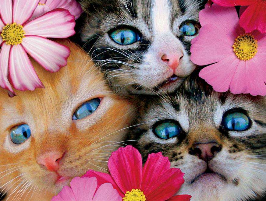 Kattungar bland blommor Pussel online