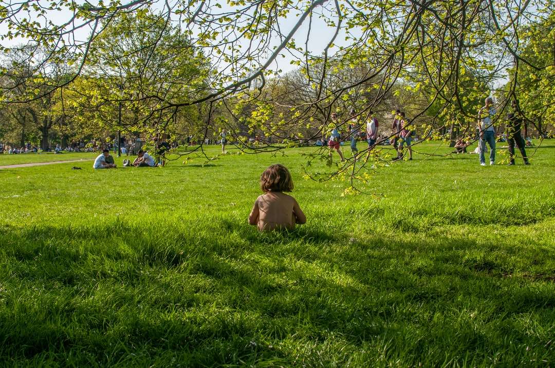Enfants assis sur le champ d'herbe verte pendant la journée puzzle en ligne