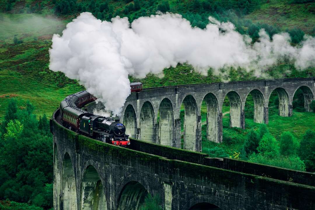 Svartvitt tåg på järnvägsbro pussel på nätet