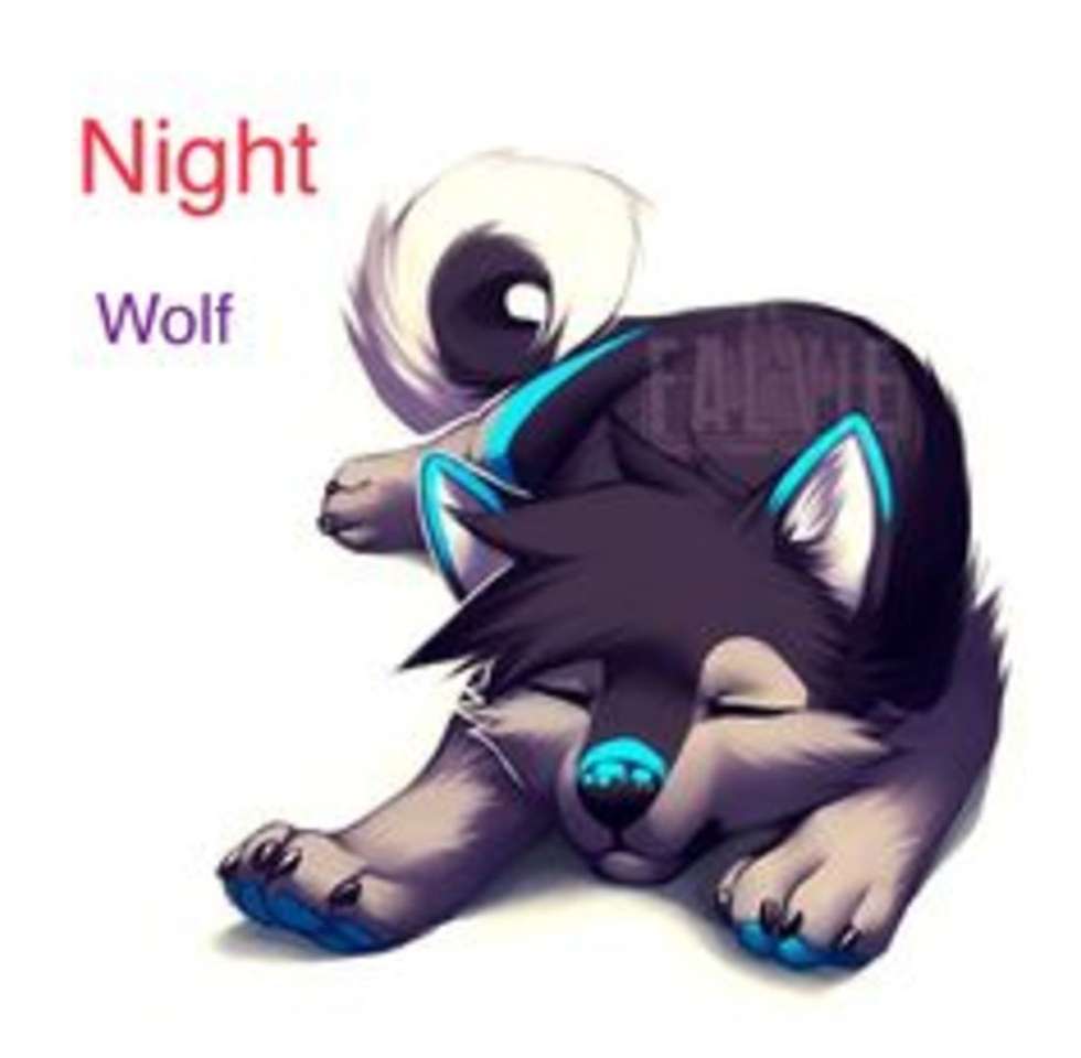 Nachtwolf. Online-Puzzle