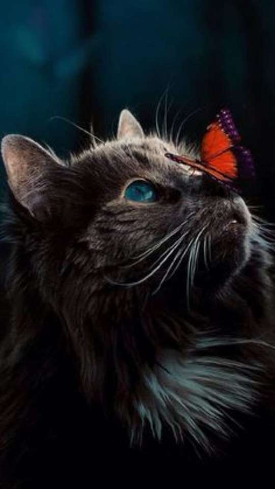 Pisica cu fluture pe nas puzzle online