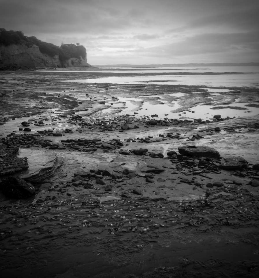 Фотография морских волн в оттенках серого, разбивающихся о скалы онлайн-пазл