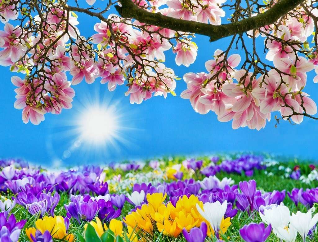 << Spring >>. jigsaw puzzle online