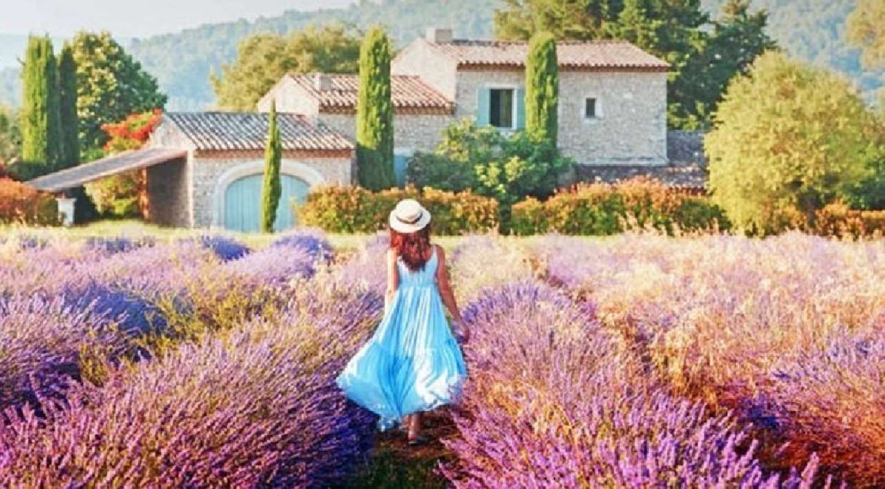 Provence. Pussel online