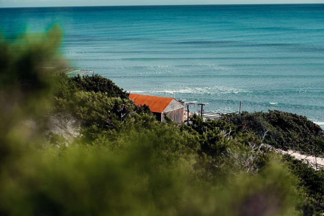 Casa marrón y blanca cerca del campo de la hierba verde y el cuerpo. rompecabezas en línea