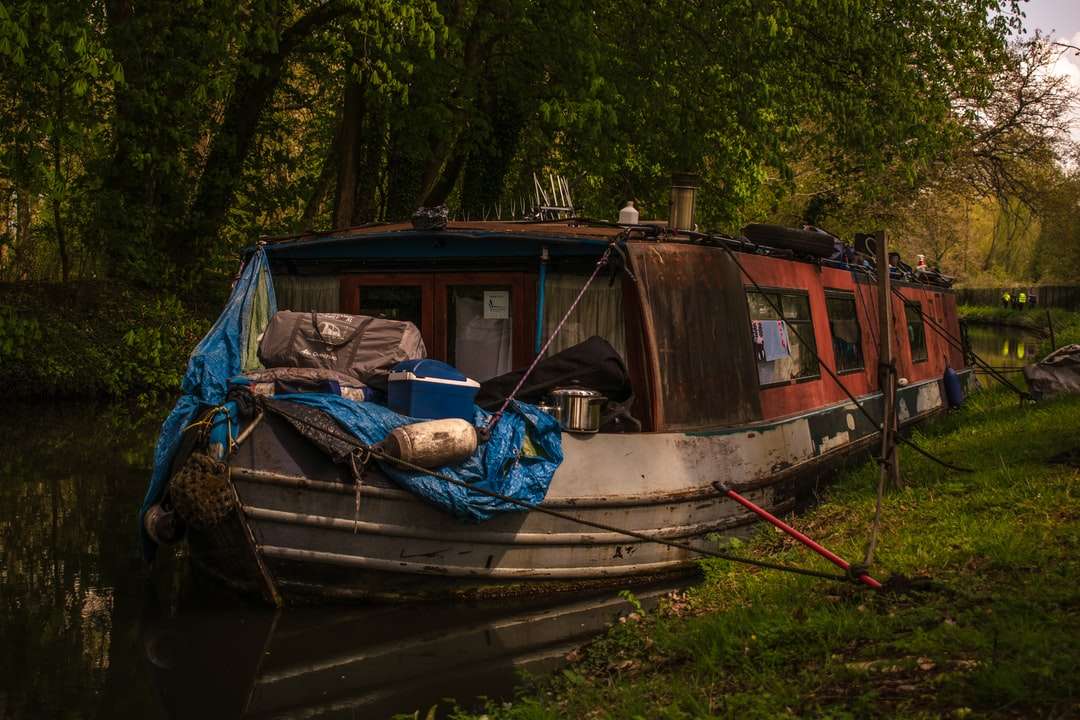 Bruine en witte houten boot op groen gras overdag online puzzel