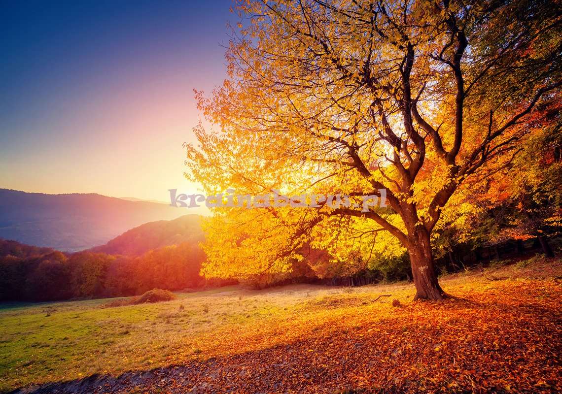 Осеннее дерево онлайн-пазл