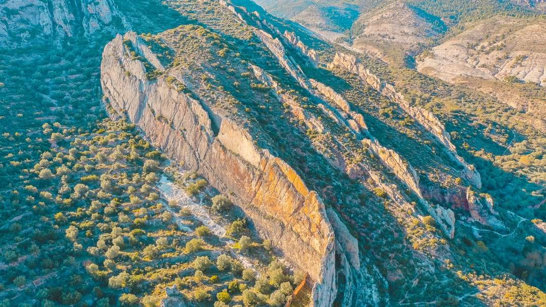 Αεροφωτογραφία των πράσινων και καφέ βουνών κατά τη διάρκεια της ημέρας online παζλ