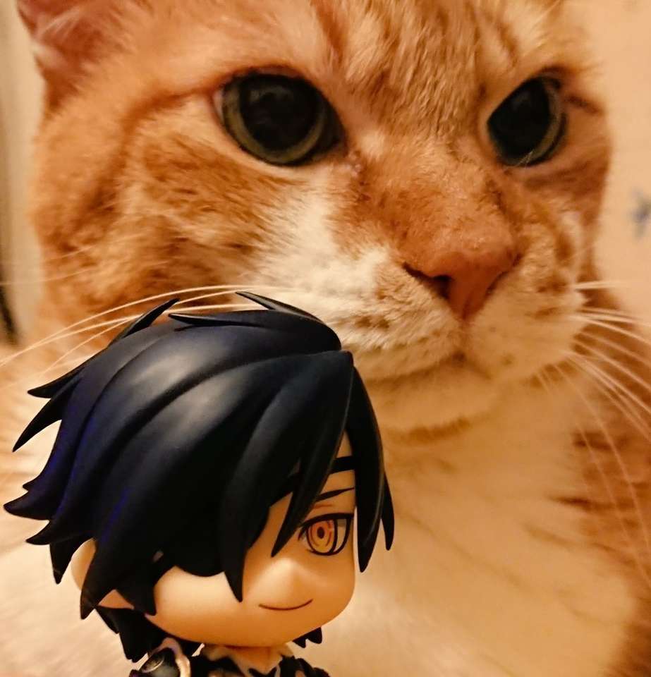 Mitsutada e seu gato quebra-cabeças online