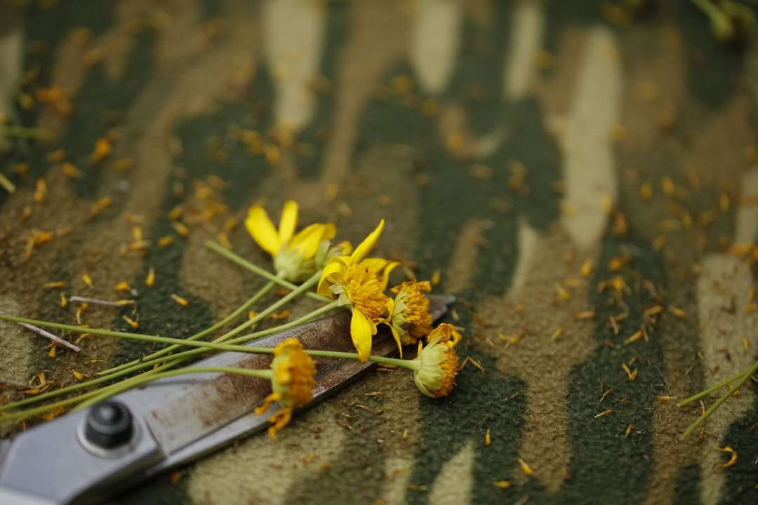 Κίτρινο λουλούδι σε καφέ ξύλινη επιφάνεια online παζλ