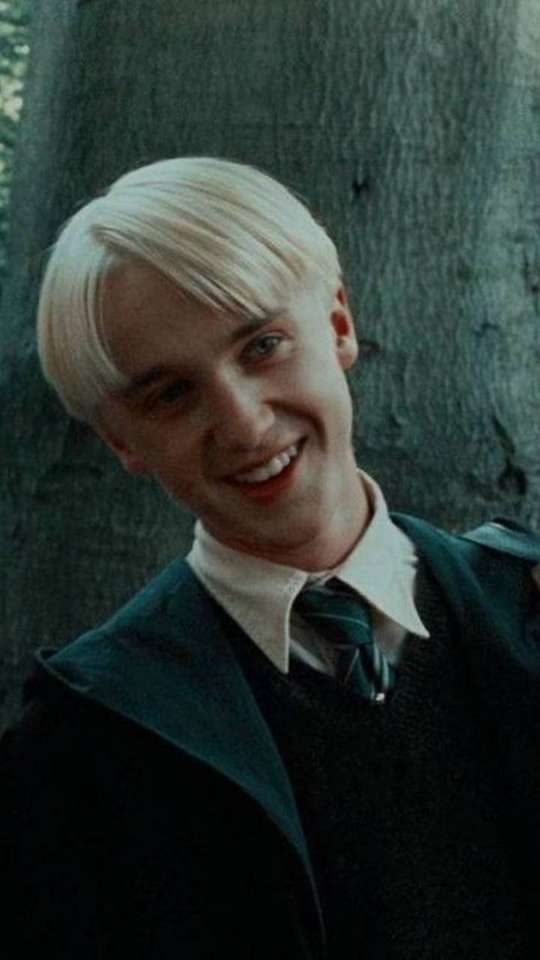 Malfoy, Draco Malfoy pussel på nätet
