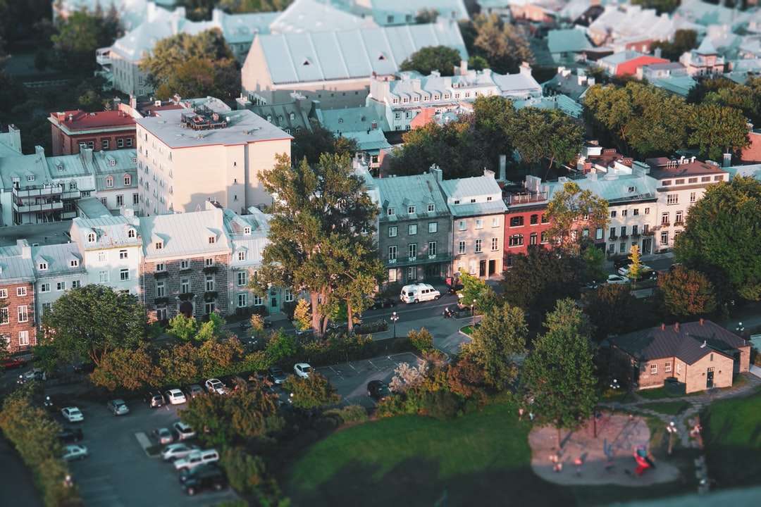 Aerial view of zöld fák és fehér épületek online puzzle