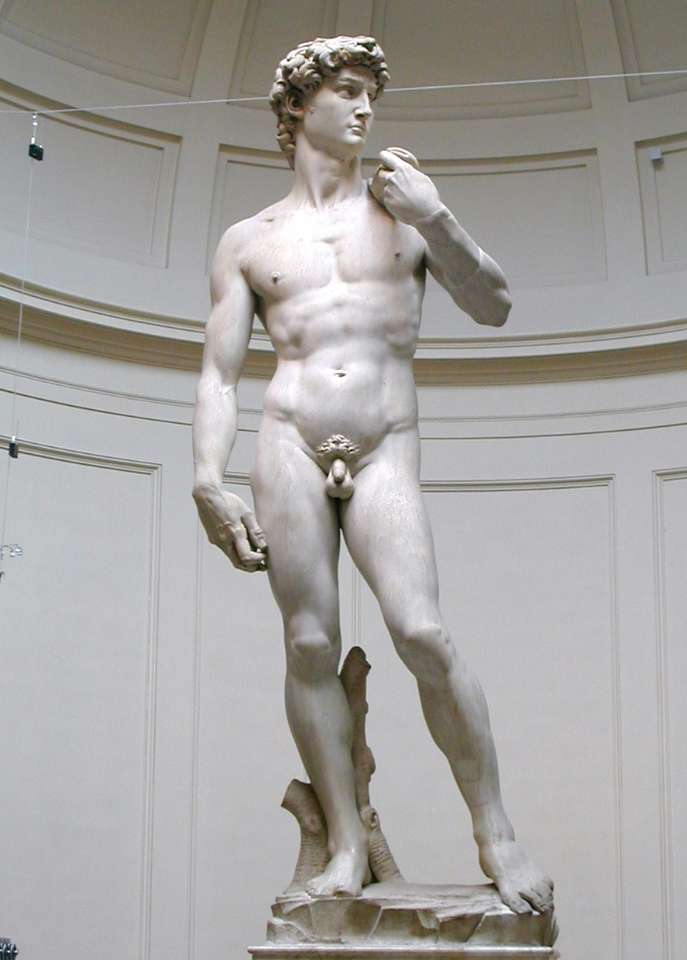 Il David di Michelangelo puzzle online
