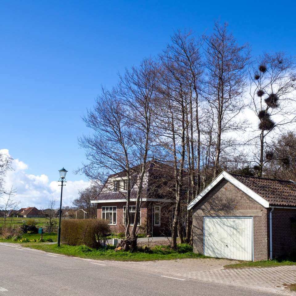 Браун и бяла къща близо до голи дървета под синьо небе онлайн пъзел