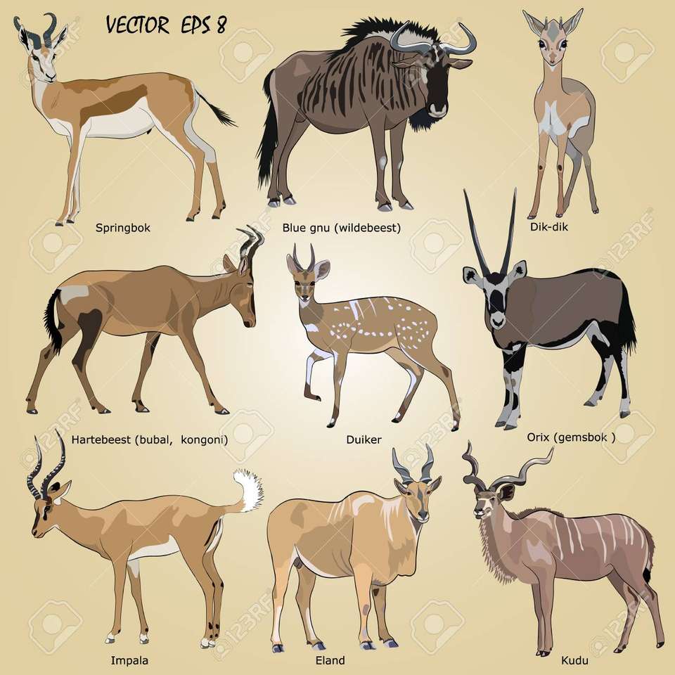 Африканские антилопы онлайн-пазл