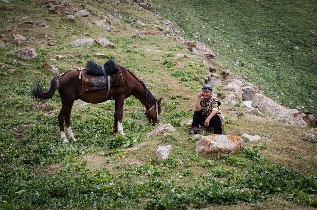 Kvinna i svart jacka sitter bredvid brun häst Pussel online