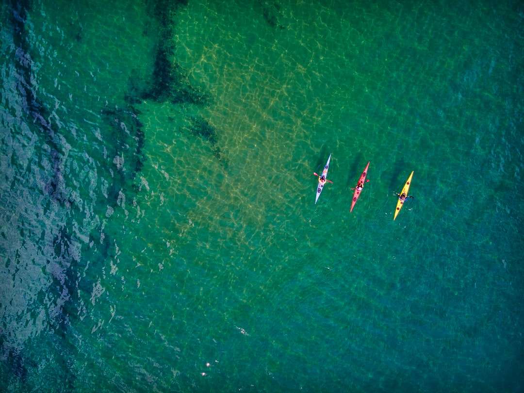 Vista aérea de las personas que montan el barco en el mar durante el día rompecabezas en línea