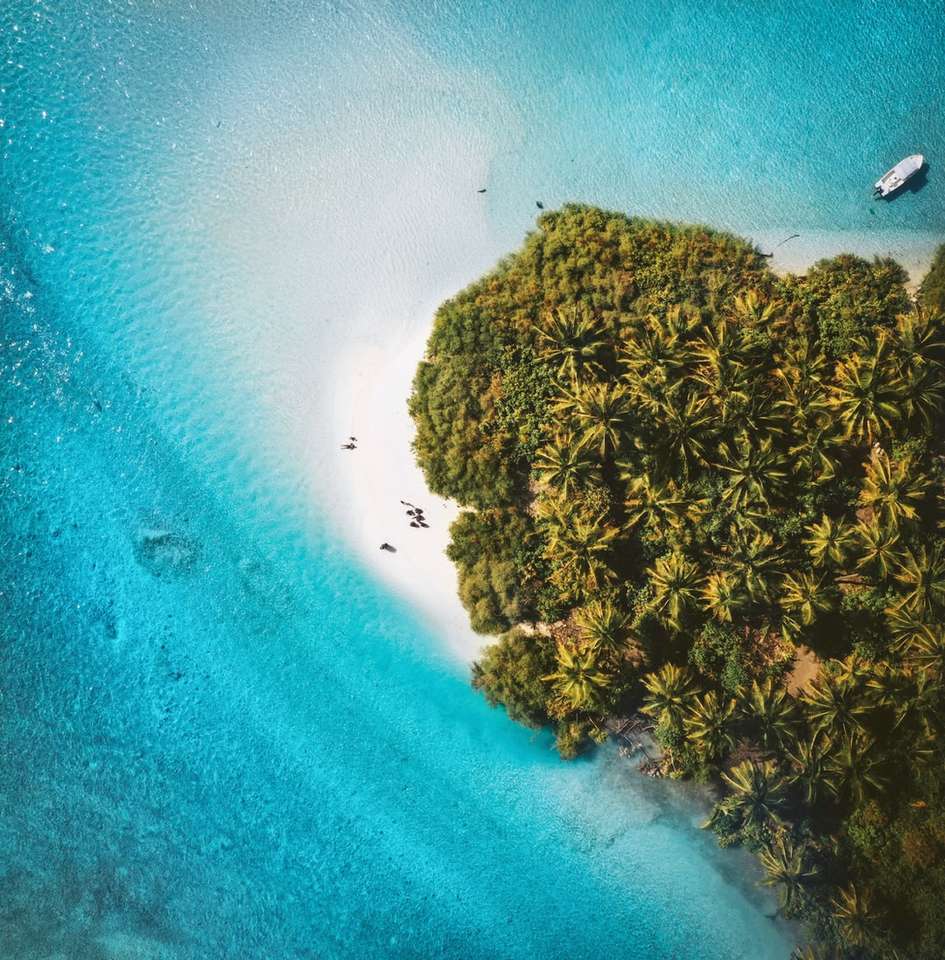 Vista aerea di alberi verdi in riva al mare durante il giorno puzzle online