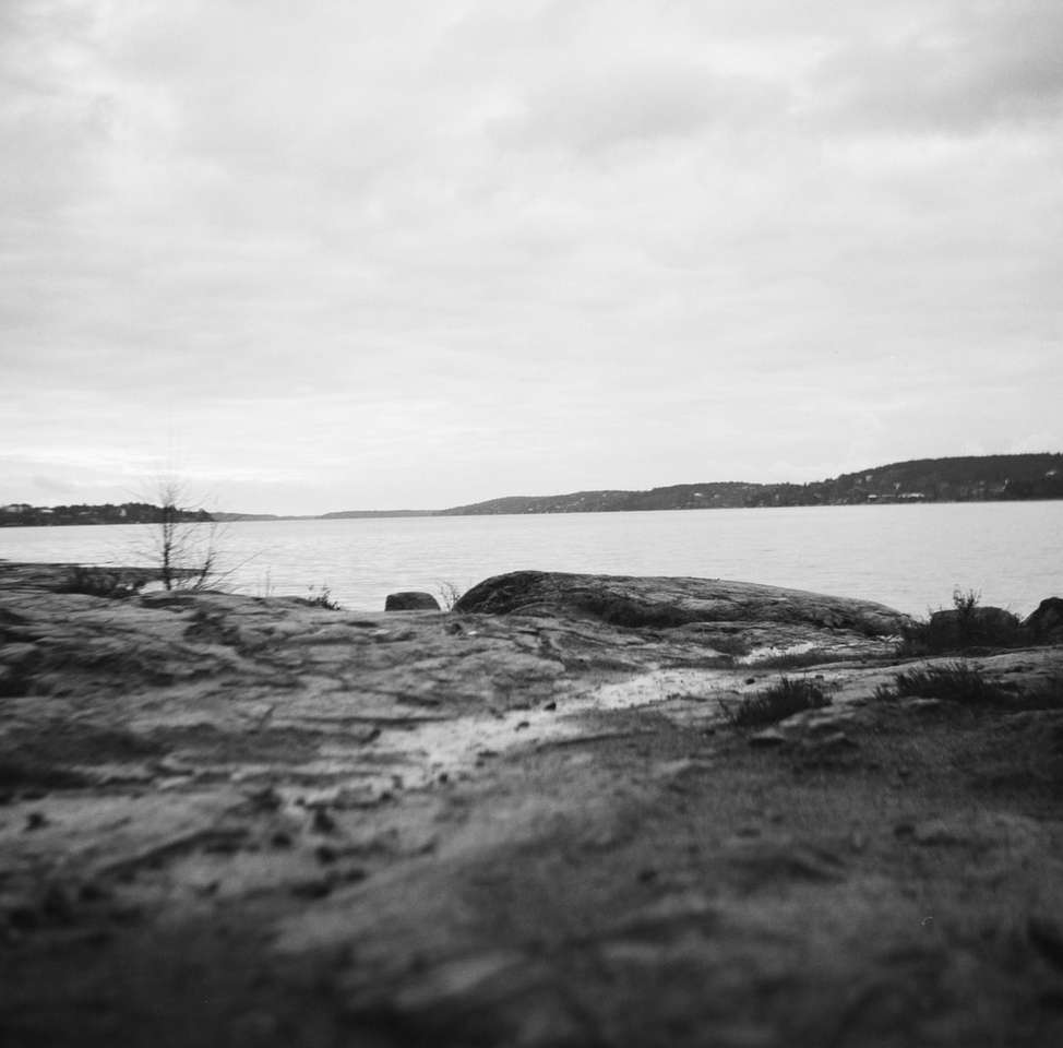 grayscale photo of a lake jigsaw puzzle online