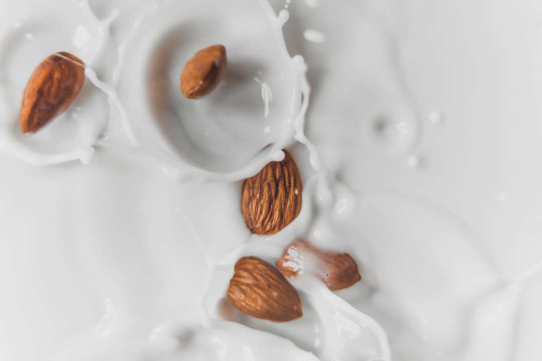 ciocolată maro și albă pe farfurie ceramică albă puzzle online
