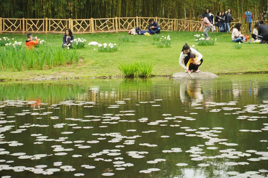 Menschen auf grünem Grasfeld nahe Körper des Wassers Puzzlespiel online