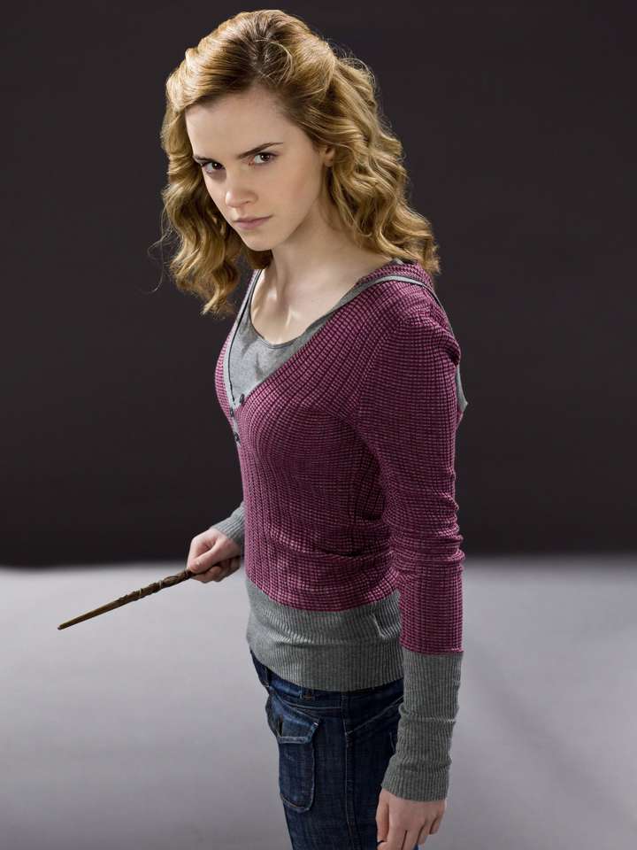 VARNING!! Detta pussel innehåller Hermione Granger !!! Pussel online