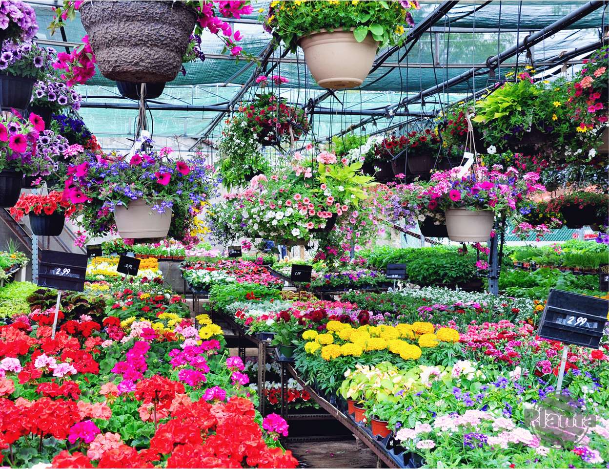 Üvegház virágokkal kirakós online