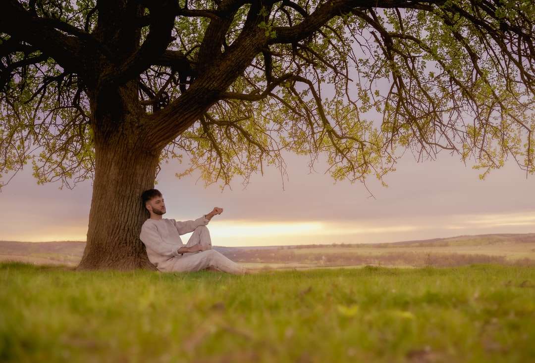 Omul în cămașă de rochie albă așezată pe câmpul verde de iarbă puzzle online