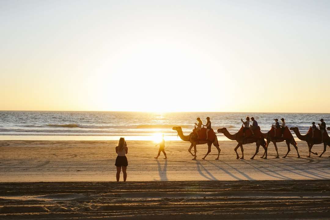Silhouet van mensen die paarden op strand berijden tijdens zonsondergang online puzzel
