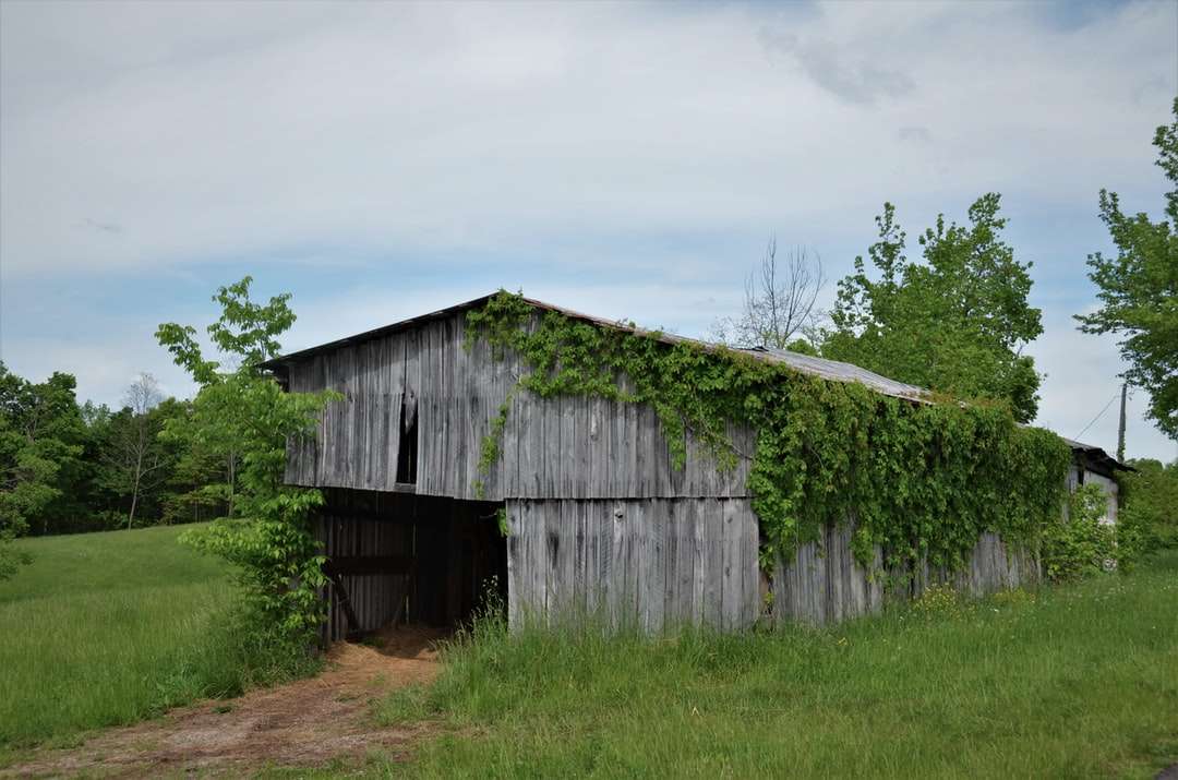 Casa de madera marrón en campo de hierba verde debajo de nubes blancas rompecabezas en línea